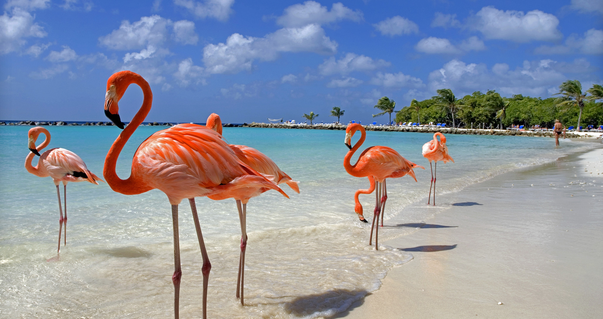 Zonnox Llamadas Internacionales a ARUBA