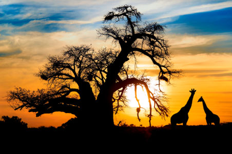 Zonnox Llamadas Internacionales a BOTSWANA