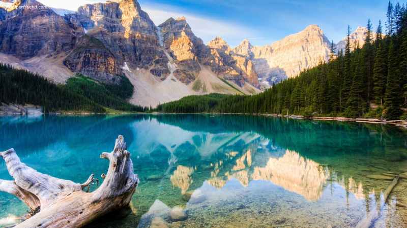 Zonnox Llamadas Internacionales a CANADA