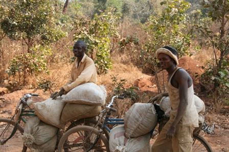 Zonnox Llamadas Internacionales a CONGO