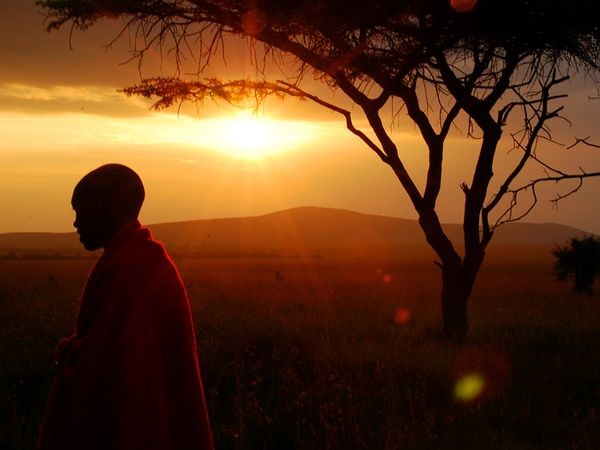 Zonnox Llamadas Internacionales a KENIA